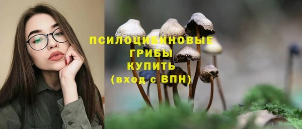 jwh Алзамай