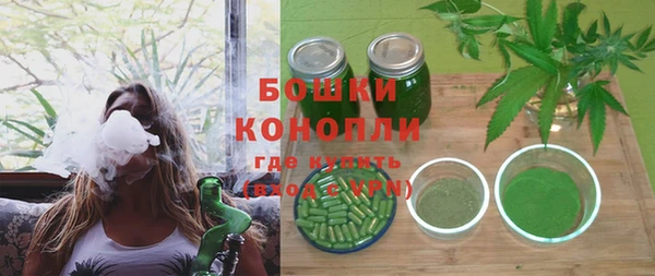 ГАЛЛЮЦИНОГЕННЫЕ ГРИБЫ Алексеевка
